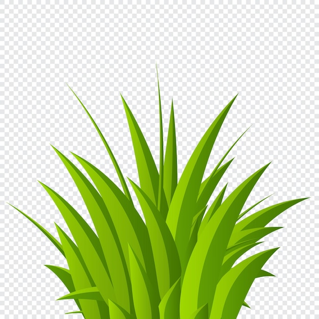 緑の草の背景 新鮮な夏の植物 草の茂み 手描きの草 草の分離 エコシンボル ベクトル図