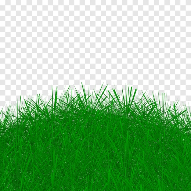 Vettore uno sfondo di erba verde - download di png di erba verde