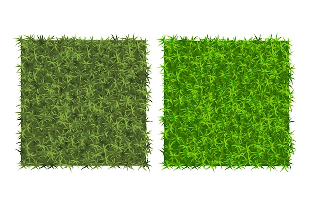 Vector green grass background.two examples of grass texture for pattern. top view