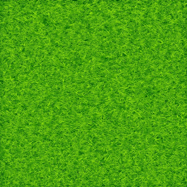 Green grass background vector