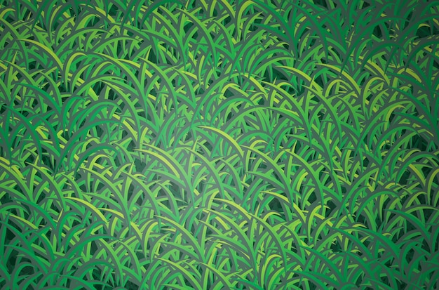 Vector green grass backgroundvector