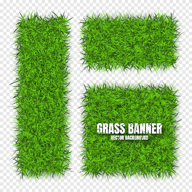 Green grass banners background field meadow texture grassy landscape organic bio eco and natural