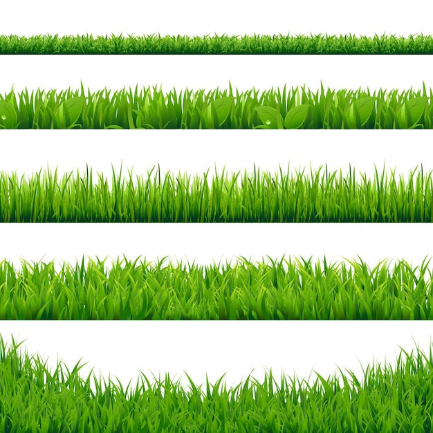 Vector green grass big set