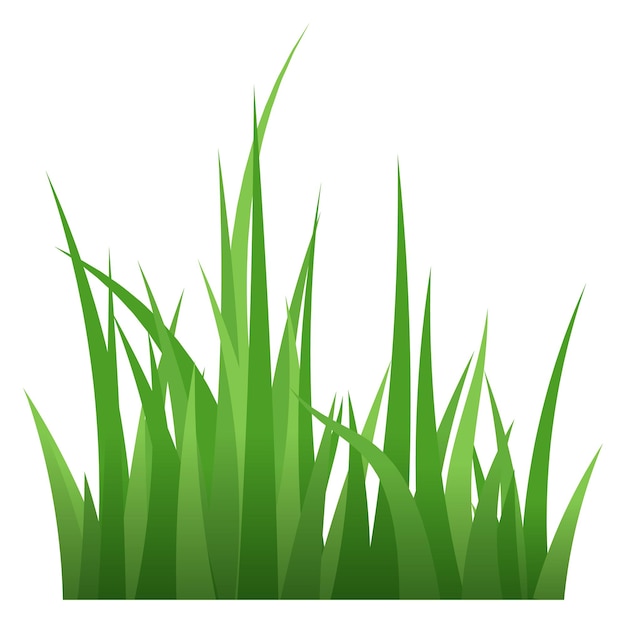 Green grass blades fresh summer plants eco symbol