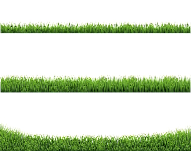 Green Grass Border Collection En