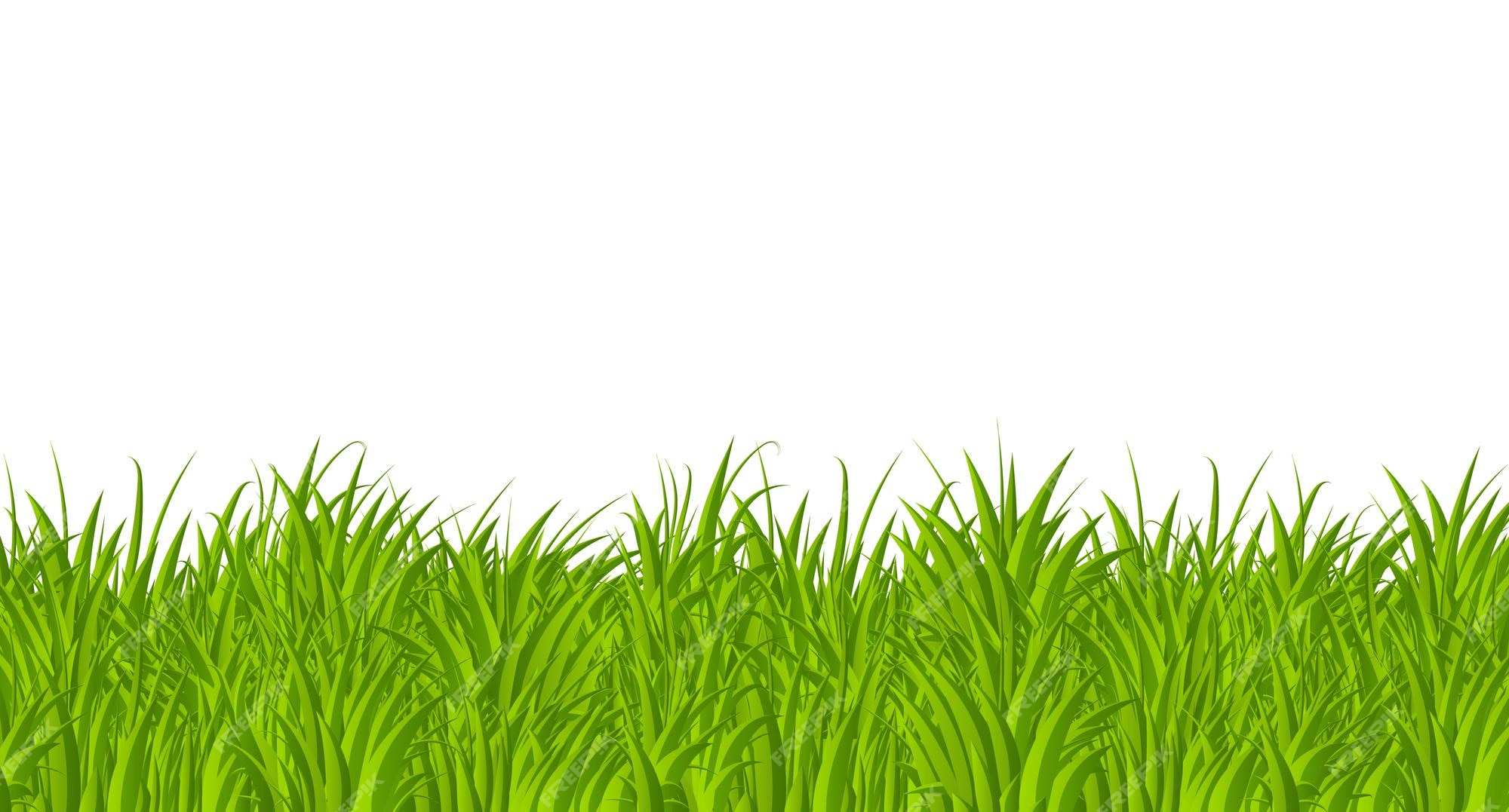 Anime Girl Beautiful Summer Scenery Grass Field 4K Wallpaper