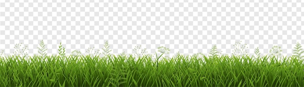 Green Grass Border Isolated Transparent Background