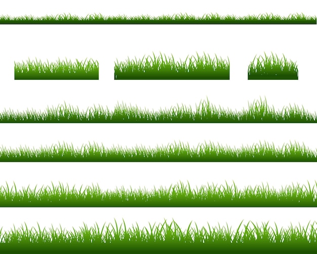 Green Grass Border Isolated White Background