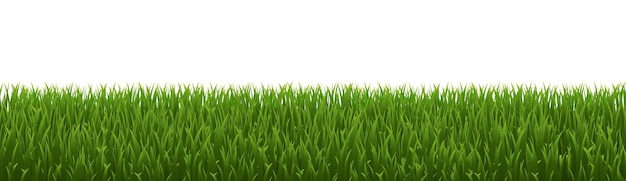 Green Grass Border Isolated White Banner