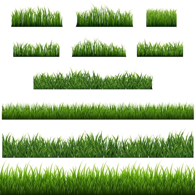 Green Grass Border Isolated With