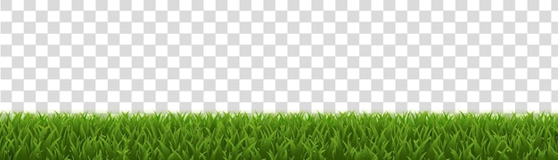 緑の草の境界線の現実的な分離ホワイト バック グラウンド