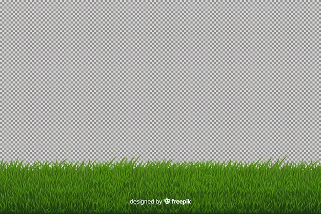 Vector green grass border realistic style