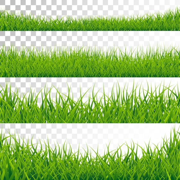 Green Grass Border Set on Transparent Background