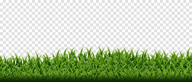 Green grass border set on transparent background