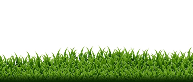 Green grass border set. Vector Illustration