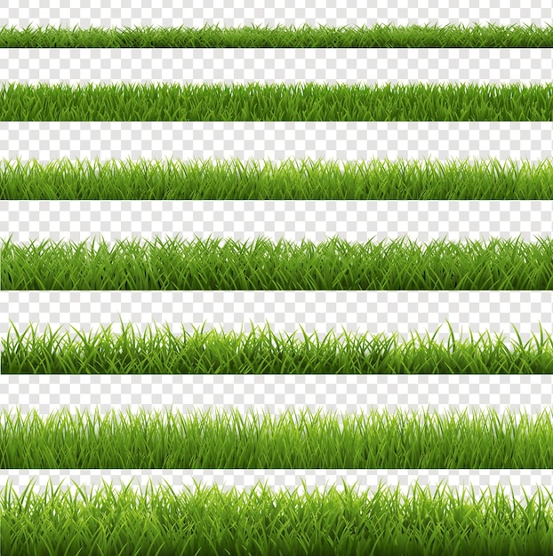 Green Grass Border Set With Transparent Background With Gradient Mesh Vector Illustration