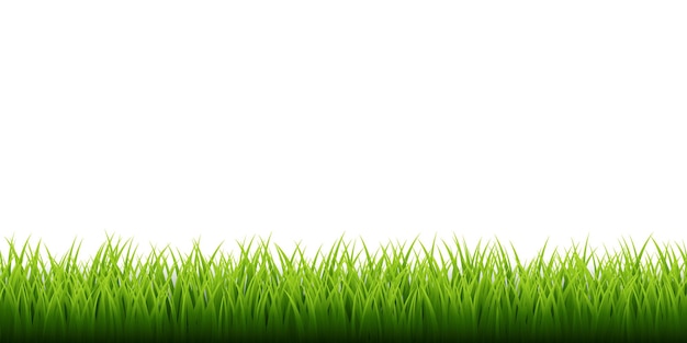 Vector green grass border set