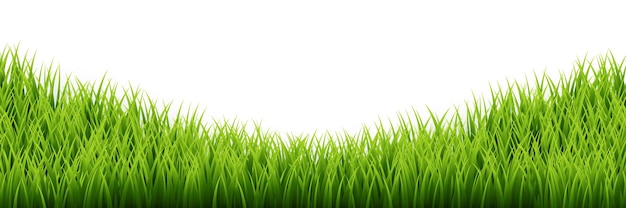 Green grass border set