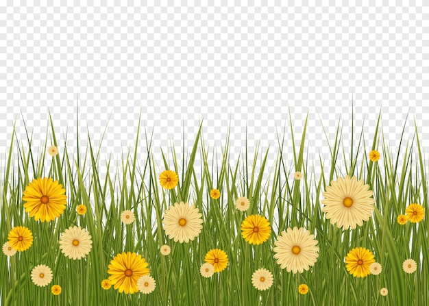 Green grass border and white background. big green grass and flowers set with gradient mesh