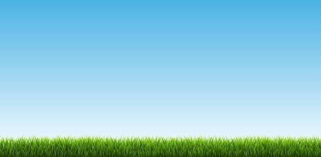 Vector green grass border with sky