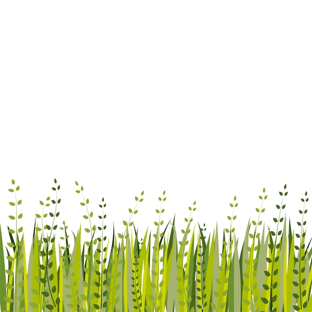 Vector green grass border