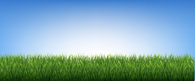 green grass borders and blue background