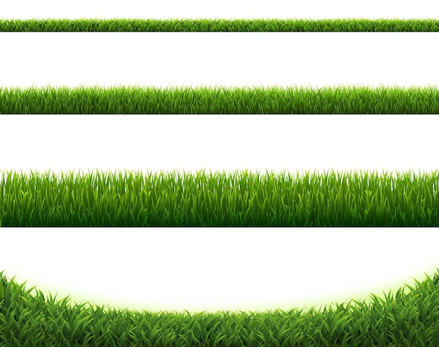 Vector green grass borders set isolated