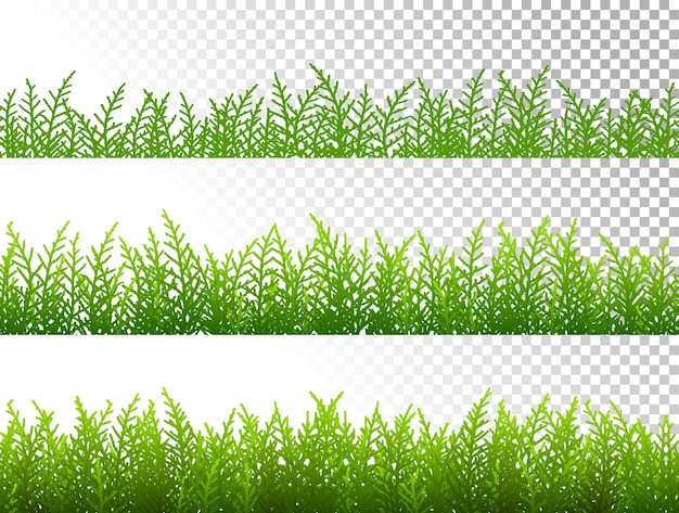 Green grass borders set on transparent background vector