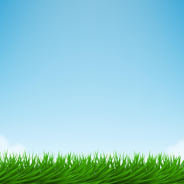 Vector green grass and bright blue sky