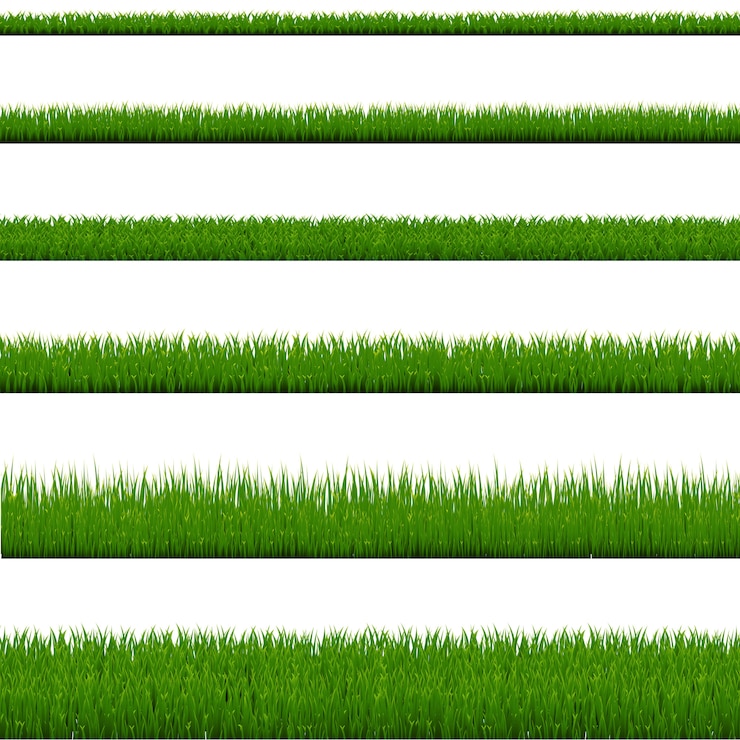 Vector green grass collection isolated 