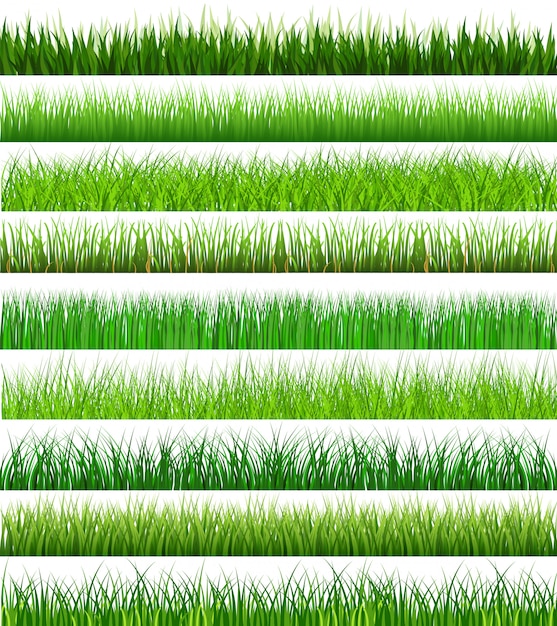 Green grass collection on white background