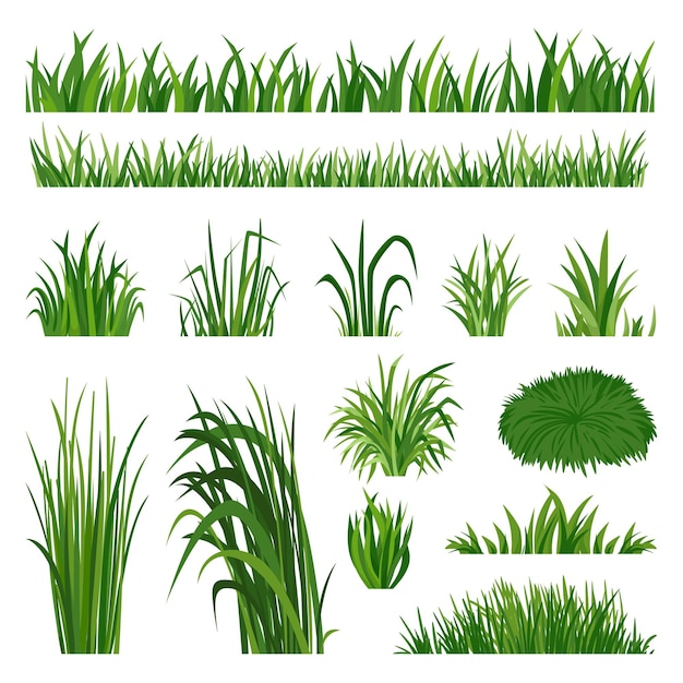 Raccolta di erba verde cortile prato bordo prato naturale a base di erbe elementi della flora primaverile estiva campo silhouette pianta isolata vegetazione vettore neoterico set