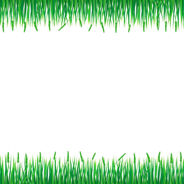 Vettore sfondo del concetto di erba verde illustrazione realistica dello sfondo del concetto vettoriale di erba verde per il web design