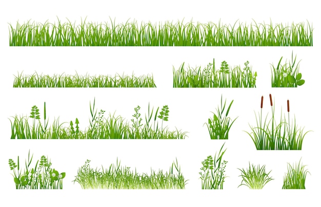 緑の草の要素 ガーデニングの要素 春の庭 緑がかった牧草地 植物と雑草 葦と花 孤立した自然正確なベクトルを設定
