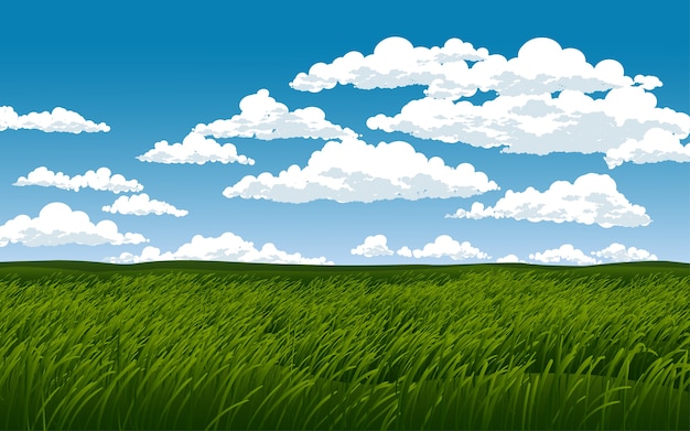 Vector green grass field at cloudy day