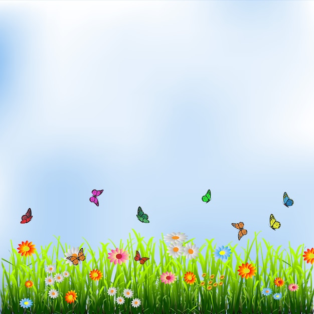 Green grass, flowers and butterflies