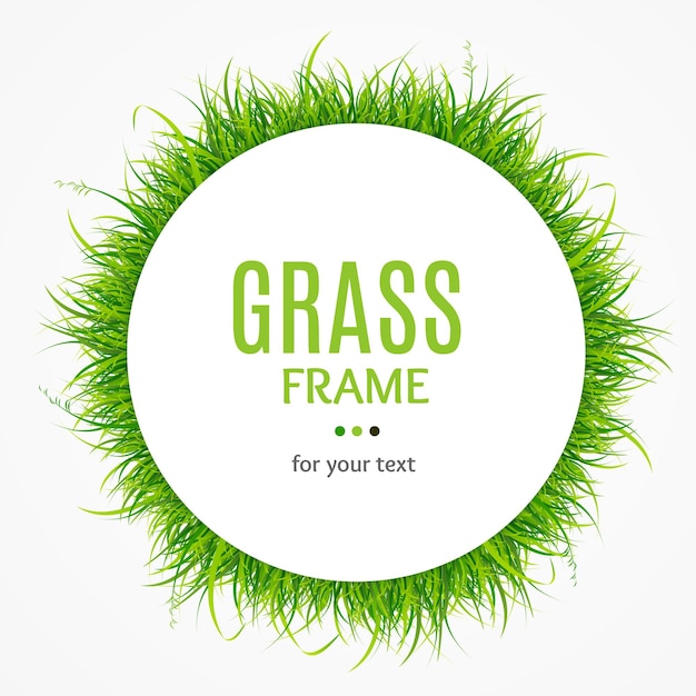 Green Grass Frame Vector