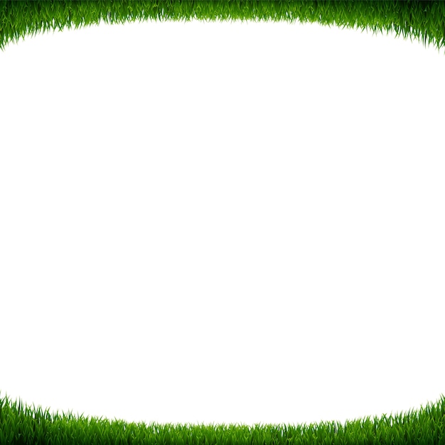 Vector green grass frame white background