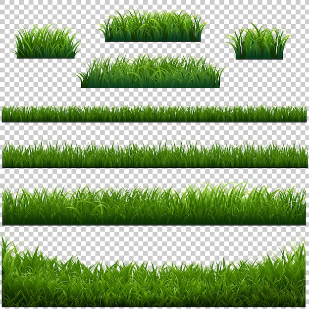 Green Grass Frame With Transparent Background