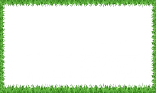 Vector a green grass frame