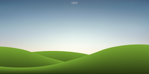 Vector green grass hill and sunset sky background