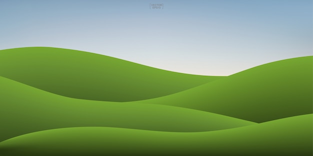 Vector green grass hill and sunset sky background.