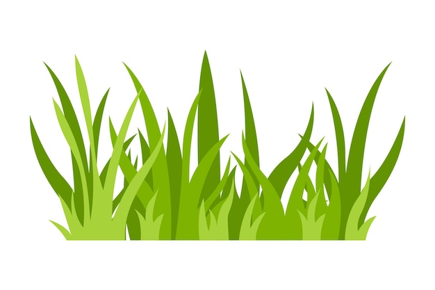 Green grass Illustration Green lawn flowers natural borders herbs