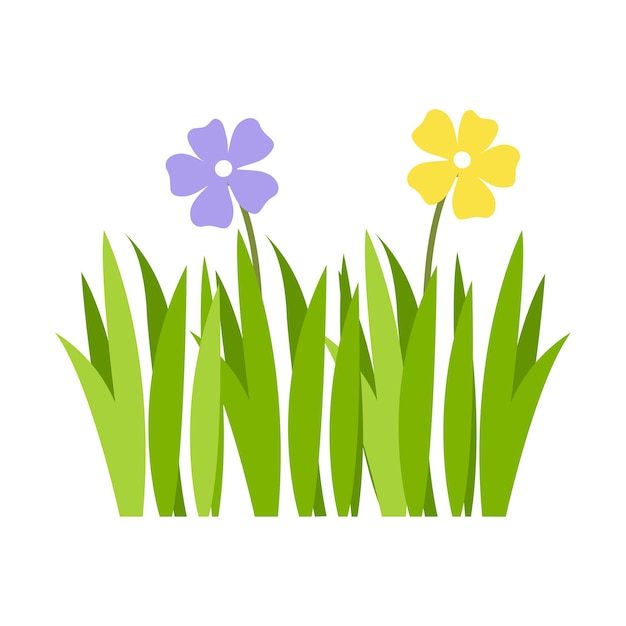 Vector green grass illustration green lawn flowers natural borders herbs