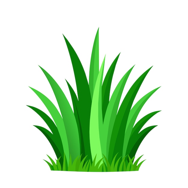 Vector green grass natural organic bio eco label and shape on white background