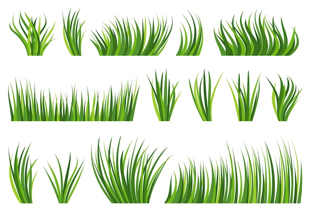 녹색 잔디 천연 유기농 잔디 평면 세트 에코 식물 신선한 부시 다른 모양 배경에 봄 허브 잔디 여름 바이오 허브 초원 녹지 잎 만화 아이콘 단풍 풍경 테두리