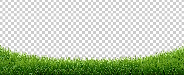green grass panorama isolated transparent background