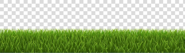 Green grass panorama realistic isolated white background