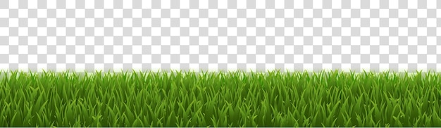 Green Grass Panorama Realistic Isolated White Background