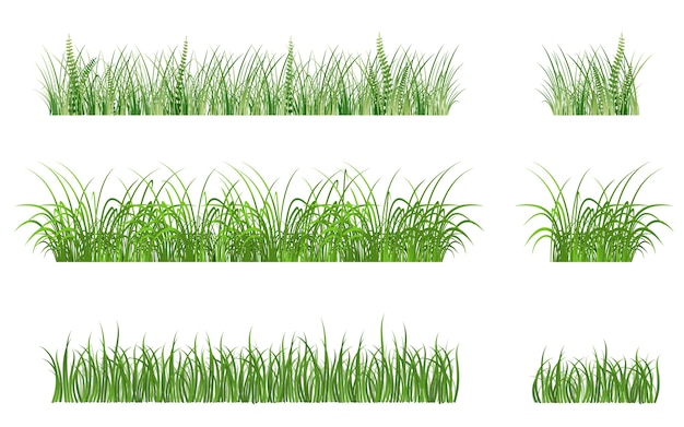 Green grass patterns